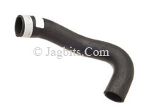 RADIATOR COOLANT HOSE, GOES FROM WATER PUMP TO THE TRANSMISSION COOLER  C41097